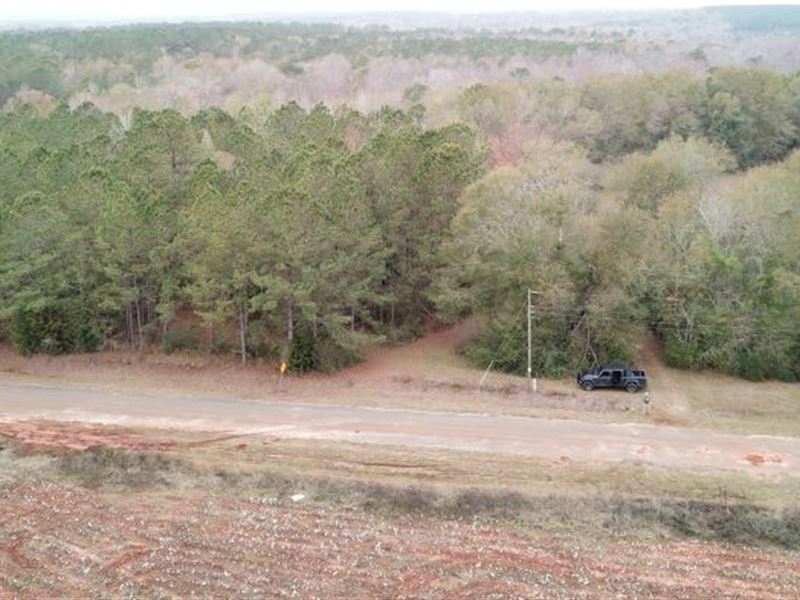 74 Acres Land / Pike Co : Brundidge : Pike County : Alabama