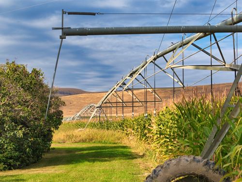 Montana Ranch & Dairy Farm : Charlo : Lake County : Montana