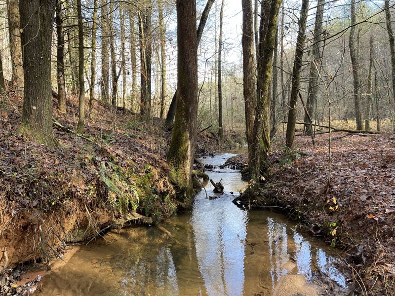 26 Acres, Lumpkin County, GA : Dahlonega : Lumpkin County : Georgia