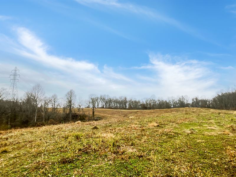 Hunting Land You Will Want To See : Jackson : Jackson County : Ohio