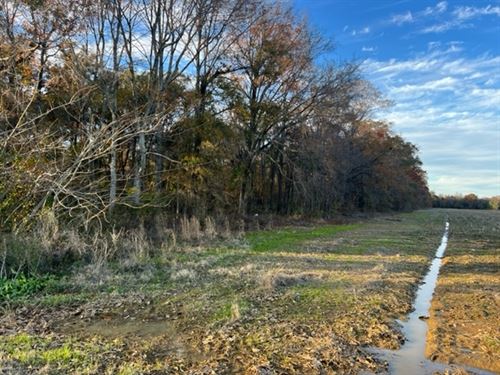 14+ Woods Of Antioch