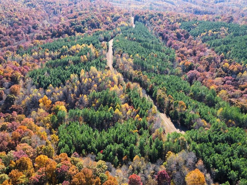 Standing Rock Central Tract : Dover : Stewart County : Tennessee