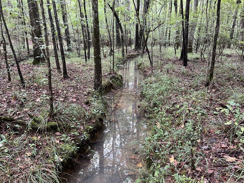 / Beeswax Tract : Columbiana : Shelby County : Alabama