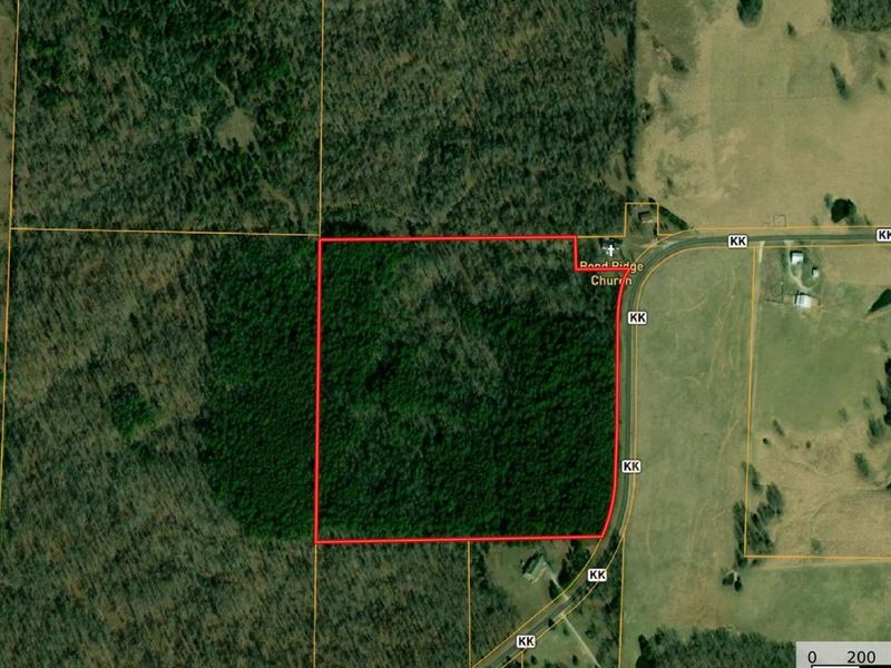 38 Acres Near North Fork River : Pottersville : Ozark County : Missouri