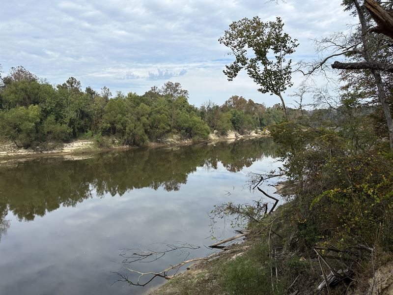 Pearl River Frontage Simpson County : New Hebron : Simpson County : Mississippi