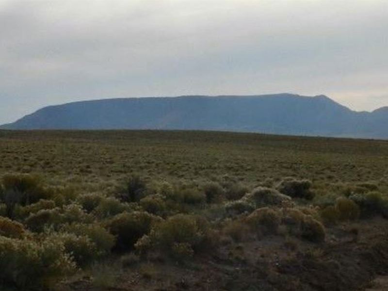 10 Acres, Near Civilization : Nance Blvd : Costilla County : Colorado