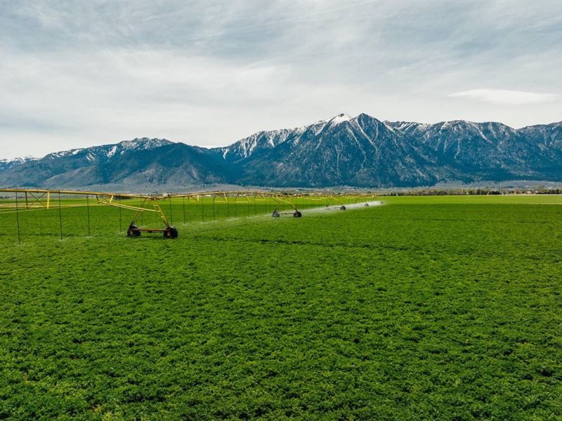 Bently Ranch : Minden : Douglas County : Nevada