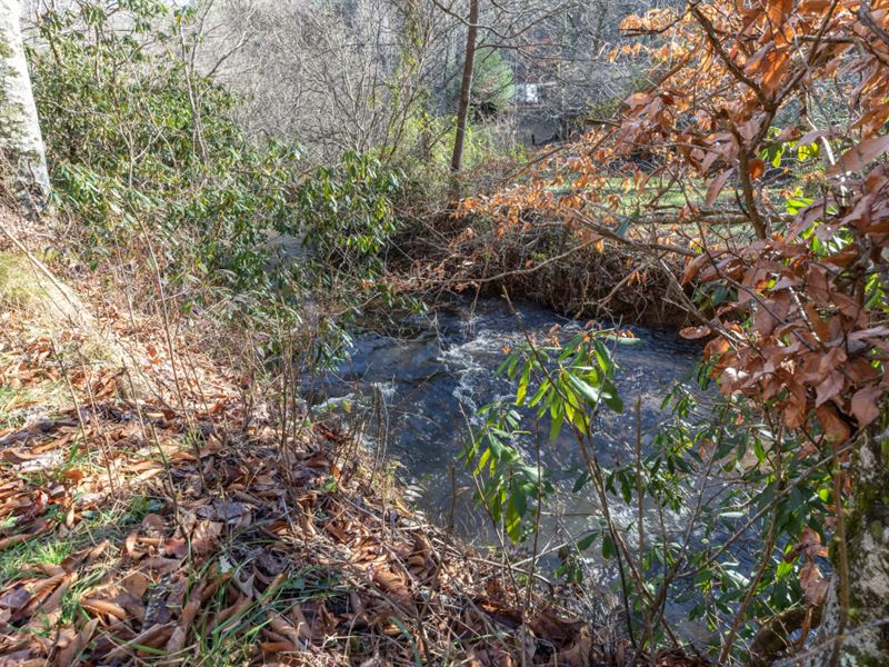 Unrestricted Land : Murphy : Cherokee County : North Carolina