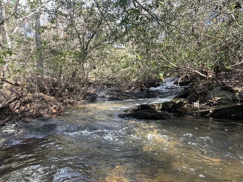 18 Ac in Dekalb County : Lithonia : Dekalb County : Georgia