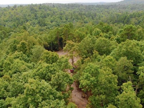 Owner Financed Acreage in AR : Viola : Fulton County : Arkansas