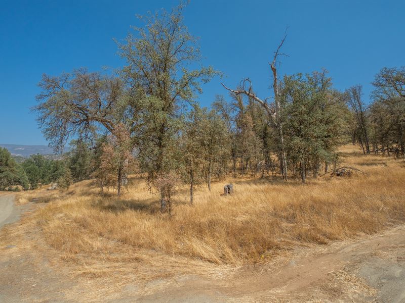 Huge Lot Selling Below Market Value : Tollhouse : Fresno County : California