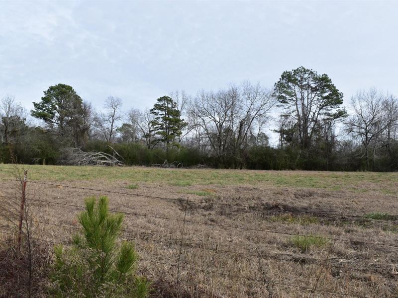 Wolf Creek Farm Lots : Delight : Pike County : Arkansas
