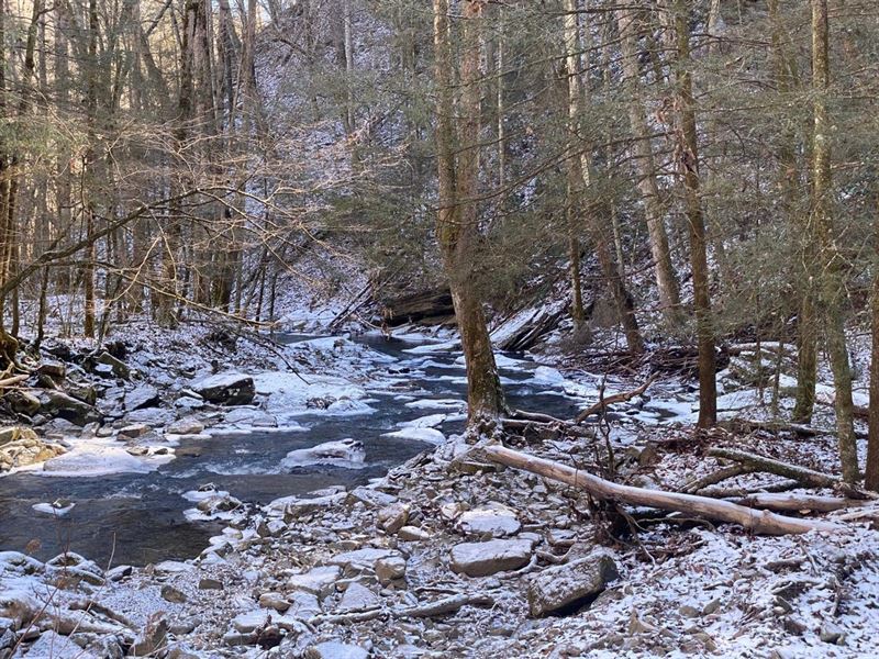 67.72 Acres Unrestricted Wooded : Tracy City : Marion County : Tennessee