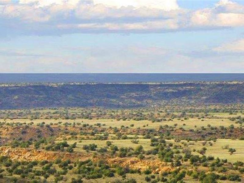 Elk Valley Ranch, 39 Acres Off Grid, Ranch for Sale in Arizona, 339885