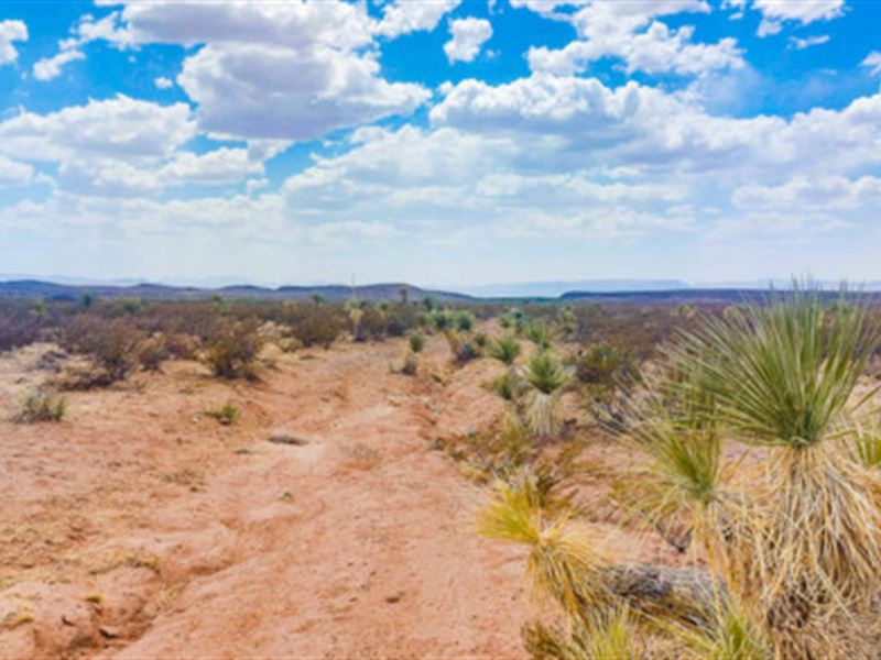 Texas Views in All Directions : Van Horn : Culberson County : Texas