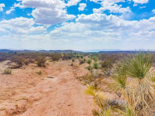 Texas Views in All Directions : Van Horn : Culberson County : Texas