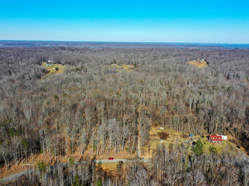19.976 Ac in King George County, VA : King George : King George County : Virginia