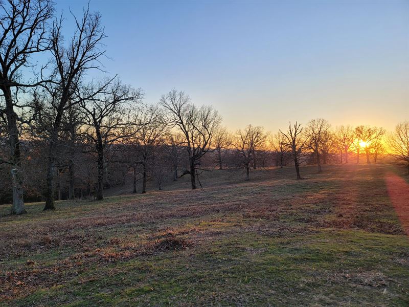 96 Acre Ozark County Farm, Ranch for Sale in Missouri, 340037 RANCHFLIP