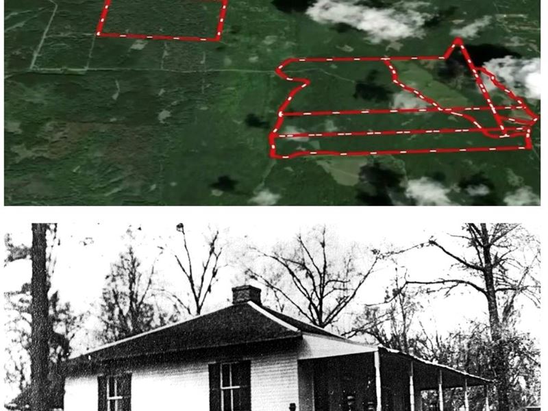 1 Share Tansy Island Hunting Club : Woodville : Wilkinson County : Mississippi