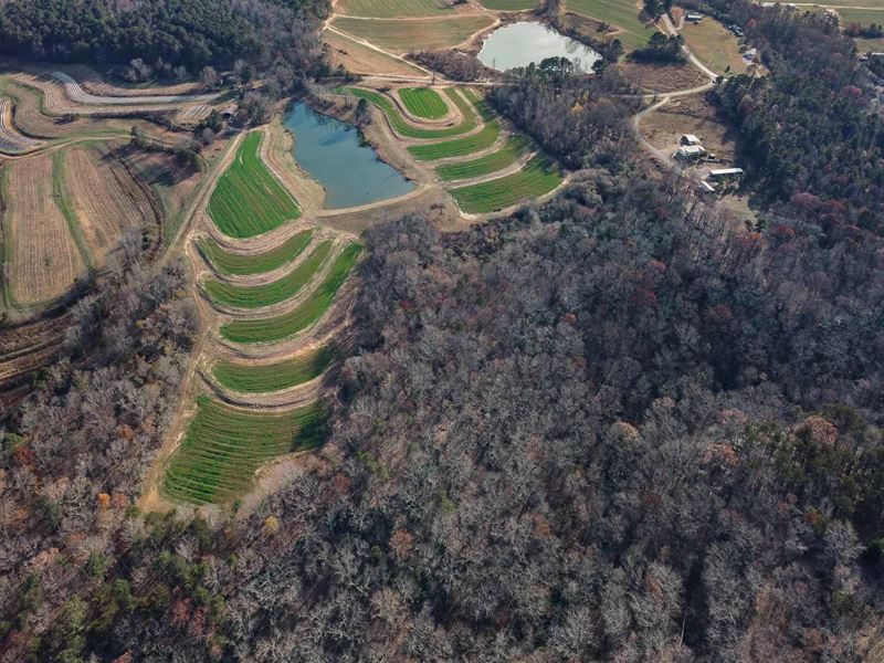 Ag Land, Fishing Pond, Creek : Steele : Saint Clair County : Alabama