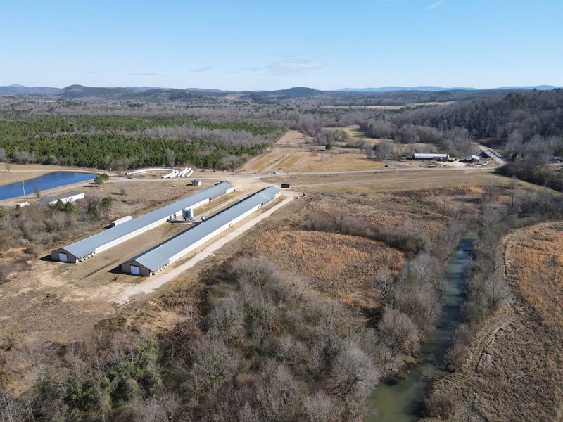 New Price, Gilchrist Farm : Wellington : Calhoun County : Alabama