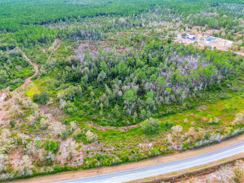 16.65 Acre Mini Farm / Homesite : Screven : Wayne County : Georgia