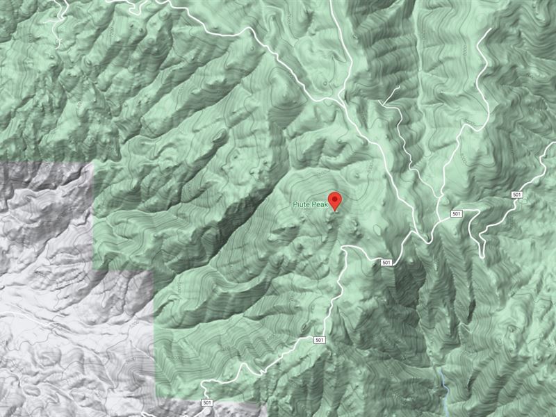 40 Acres in Sequoia National Forest : Havilah : Kern County : California