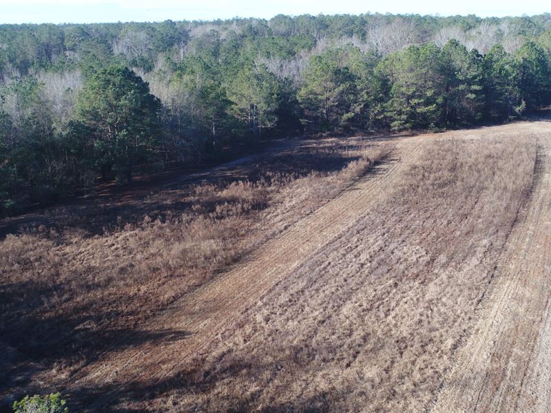 56 Ac Butler Co : Greenville : Autauga County : Alabama