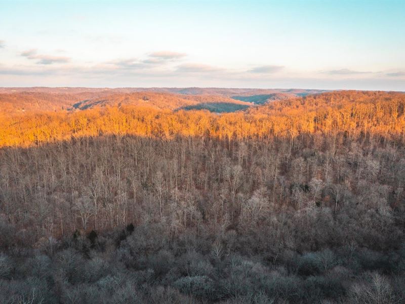 House Springs Hollow : House Springs : Jefferson County : Missouri