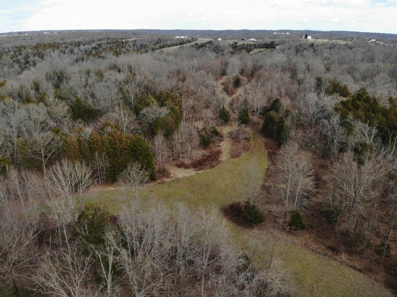 Land for Sale 157 Acres in Jefferso : Madison : Jefferson County : Indiana