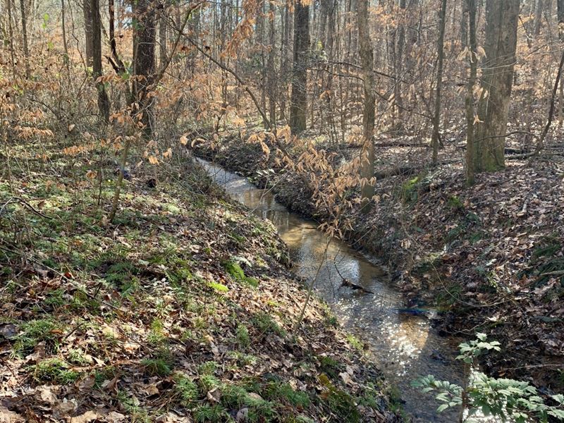 51.46 Acres Bremen, GA : Bremen : Haralson County : Georgia