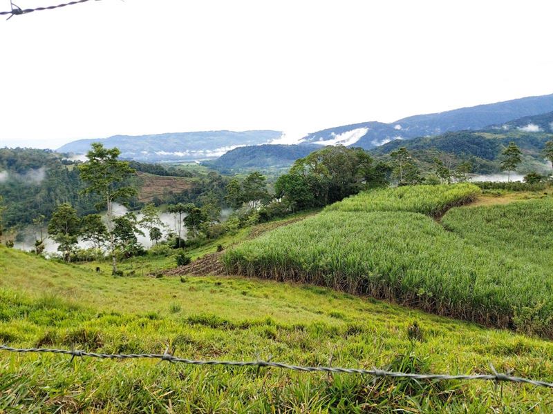 Knoll Top Farm, 20 Acres, Cabin : Tucurrique De Cartago : Costa Rica