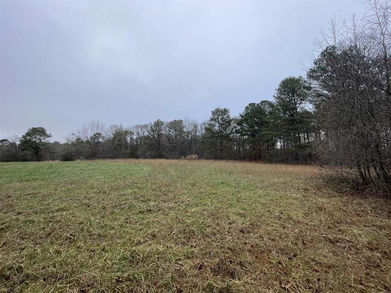 Brooks 15 East : Brooks : Fayette County : Georgia