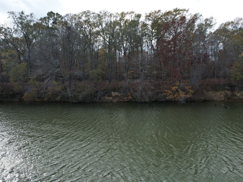 Coosa River Homesite : Vincent : Shelby County : Alabama