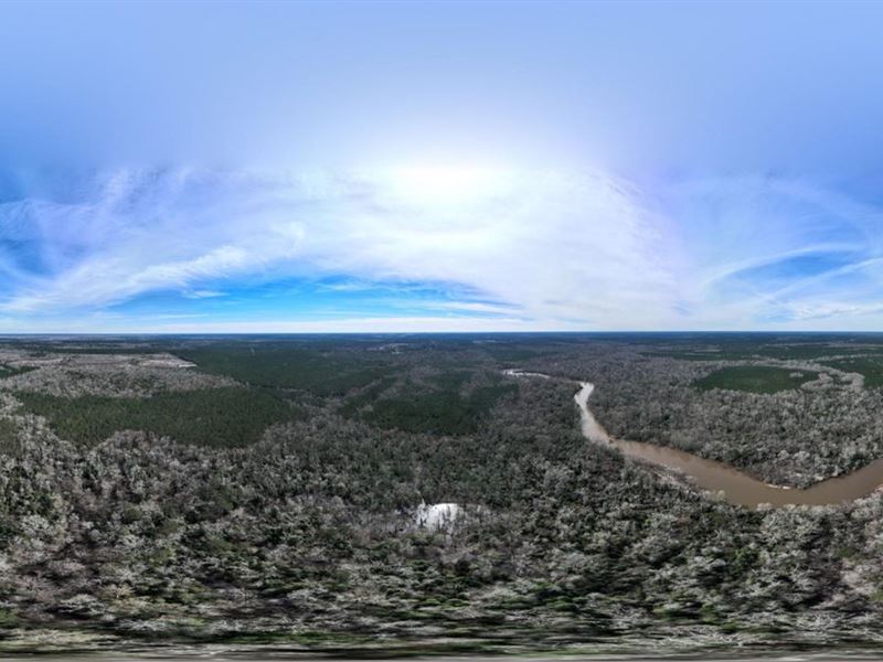 Calcasieu River Tracts, Allen Paris : Oberlin : Allen Parish : Louisiana