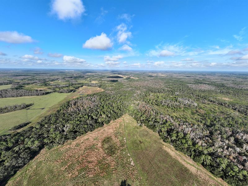 Fox Branch Ranch Mitigation Bank : Kathleen : Polk County : Florida