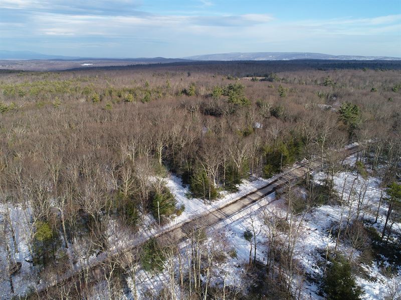 Beautiful 11 Acres in Upstate NY : Fallsburg : Sullivan County : New York