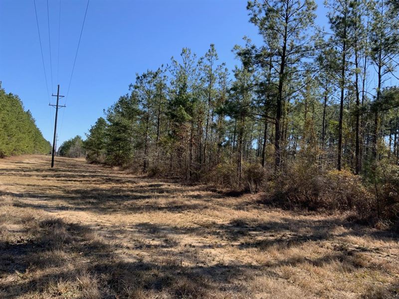 White Sulphur Springs Tract, Lasall : Jena : La Salle Parish : Louisiana