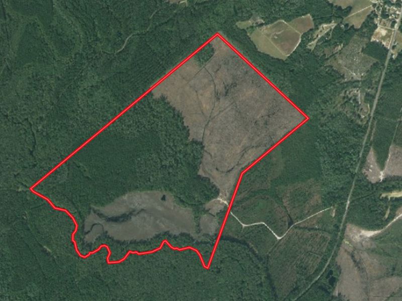 Market Based Price Improvement, 2 : Garland : Sampson County : North Carolina