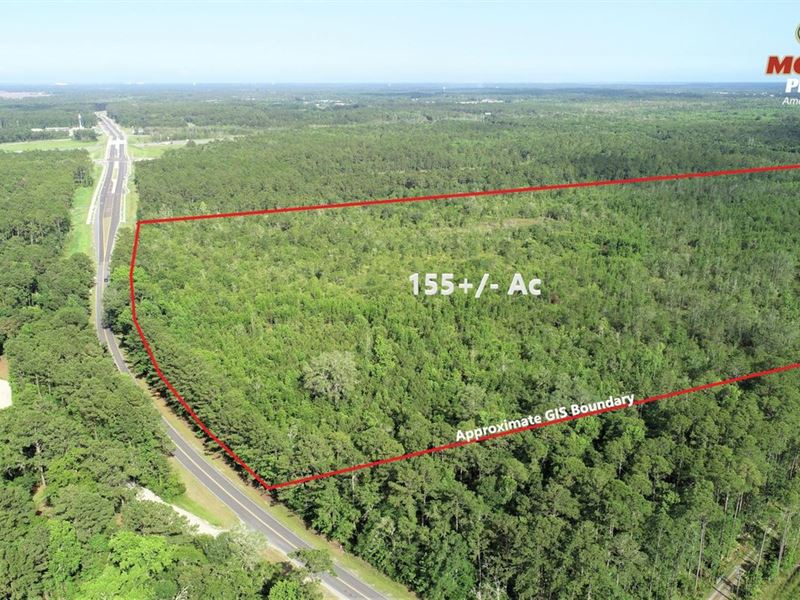155.72 Ac Commercial / Residenti : Kingsland : Camden County : Georgia