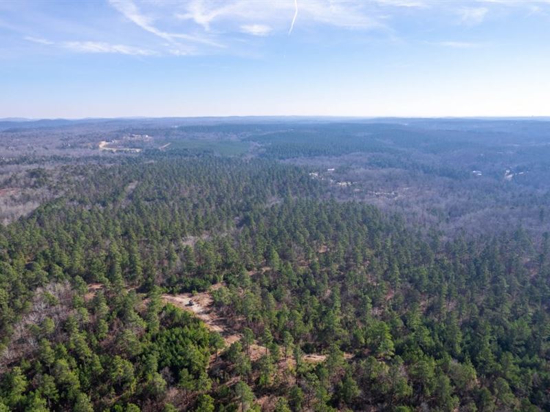 Saline County Piney Grove : Avilla : Saline County : Arkansas