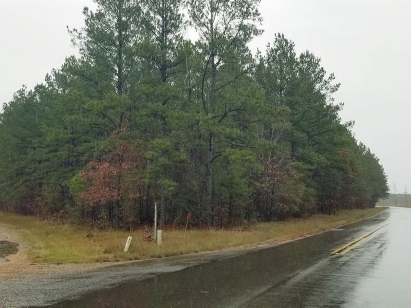 Victory Cutoff Triangle Timber Trac : Jena : La Salle Parish : Louisiana