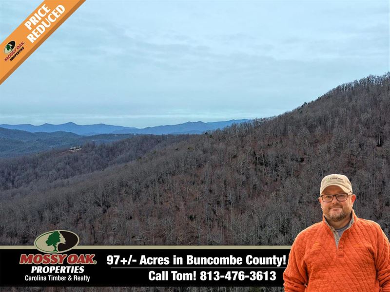 97 Gorgeous Acres in Black Mount : Black Mountain : Buncombe County : North Carolina