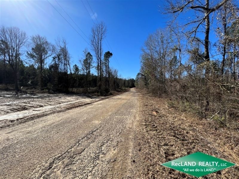 11.69 Ac, Wooded Tract for Home : Truxno : Union Parish : Louisiana