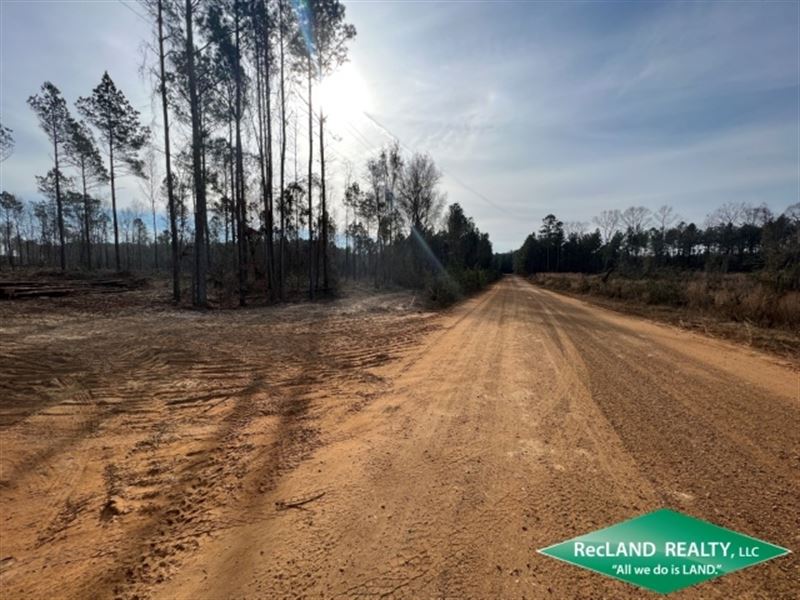 10.05 Ac, Wooded Tract for Home : Truxno : Union Parish : Louisiana