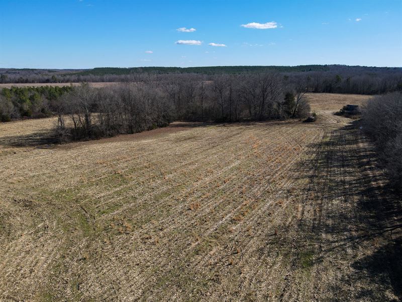 Witcher Farm on Bannister River : Chatham : Pittsylvania County : Virginia