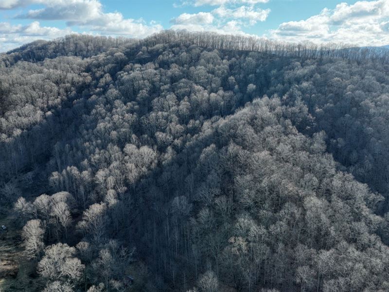 42.64 Acres in Tazewell County, VA : Bluefield : Tazewell County : Virginia