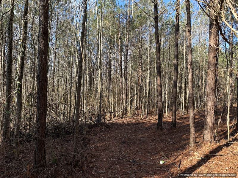17.8 AC in Union, MS : Decatur : Newton County : Mississippi