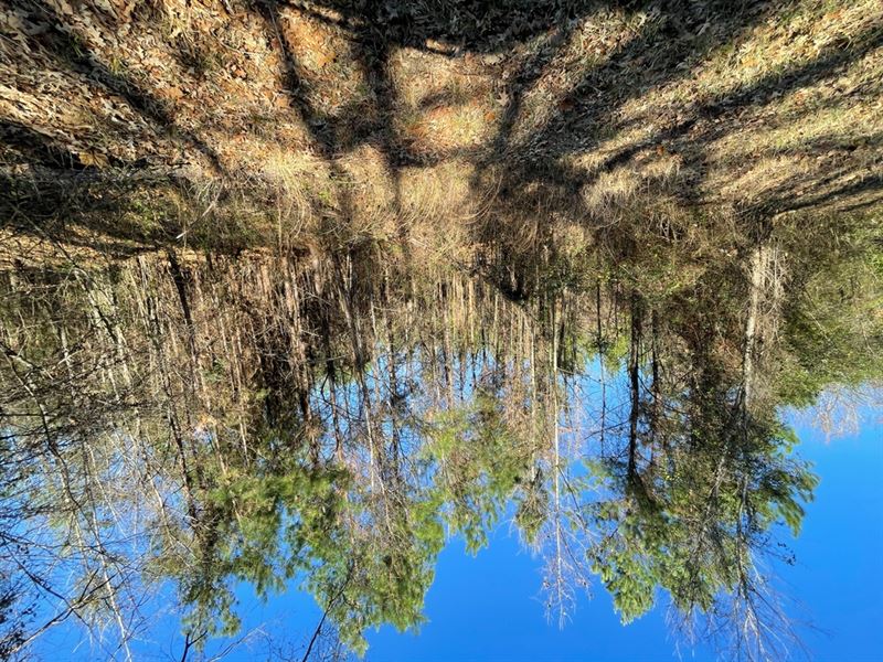 La, Caldwell 40 Acres : Columbia : Caldwell Parish : Louisiana