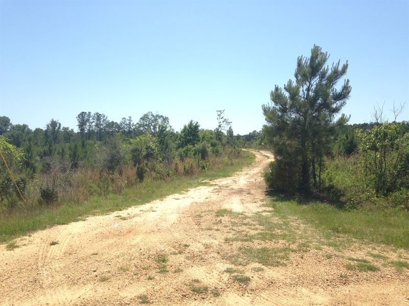 Beaver Creek West South : Jayess : Lawrence County : Mississippi